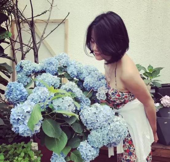 林中四舍民宿設(shè)計(jì)，一所鳥語花香的小木屋