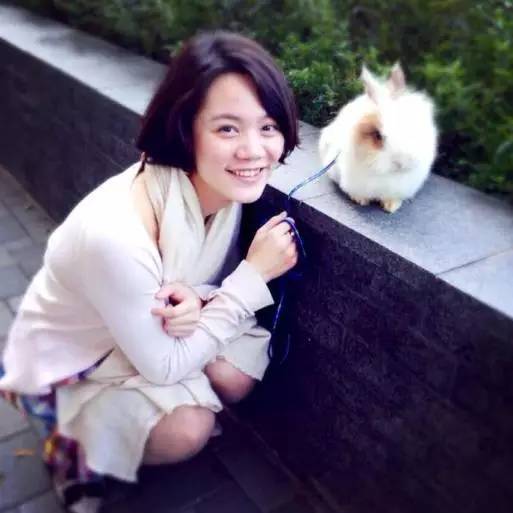 林中四舍民宿設(shè)計(jì)，一所鳥語花香的小木屋