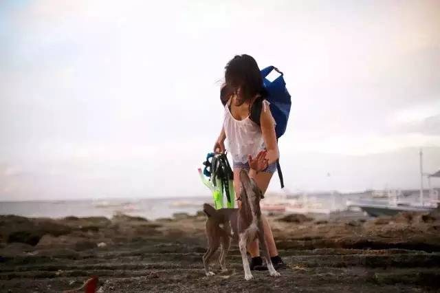 林中四舍民宿設(shè)計(jì)，一所鳥語花香的小木屋