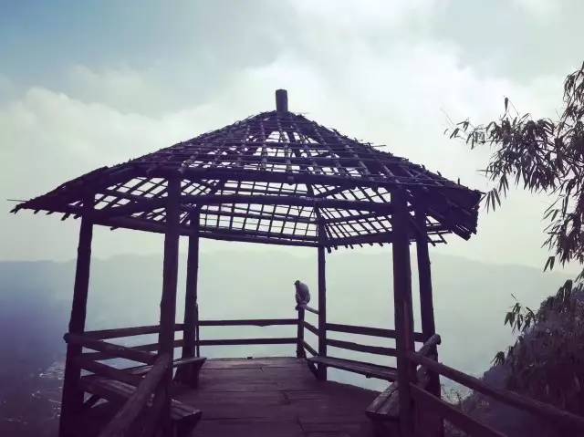 林中四舍民宿設(shè)計(jì)，一所鳥語花香的小木屋