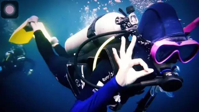 林中四舍民宿設(shè)計(jì)，一所鳥(niǎo)語(yǔ)花香的小木屋