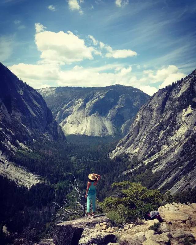 林中四舍民宿設(shè)計(jì)，一所鳥(niǎo)語(yǔ)花香的小木屋