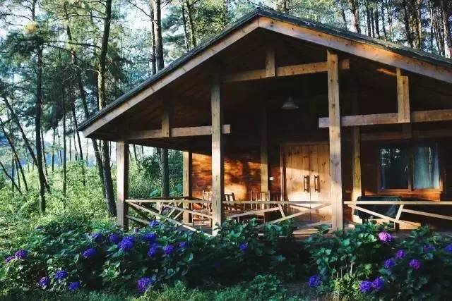 林中四舍民宿設(shè)計(jì)，一所鳥(niǎo)語(yǔ)花香的小木屋