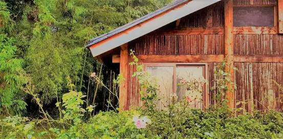 林中四舍民宿設(shè)計(jì)，一所鳥語花香的小木屋