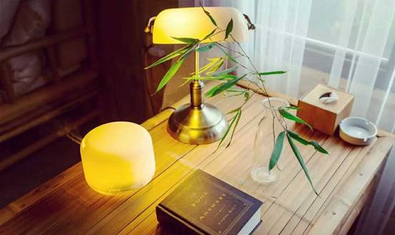 林中四舍民宿設(shè)計，一所鳥語花香的小木屋