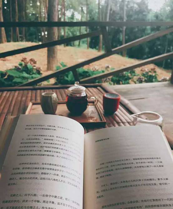 林中四舍民宿設(shè)計，一所鳥語花香的小木屋