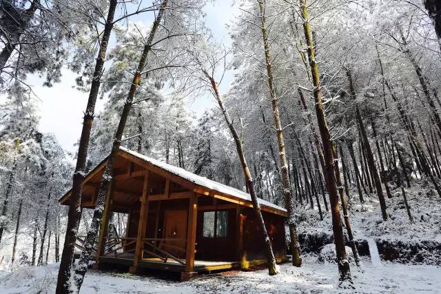 林中四舍民宿設(shè)計(jì)，一所鳥(niǎo)語(yǔ)花香的小木屋