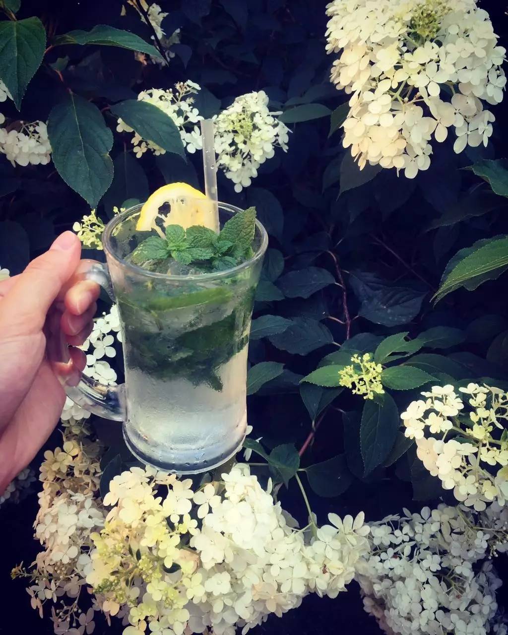 林中四舍民宿設(shè)計(jì)，一所鳥語花香的小木屋