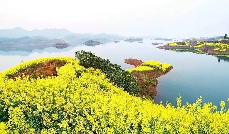 景瀾·返里民宿設(shè)計(jì)，返回故里