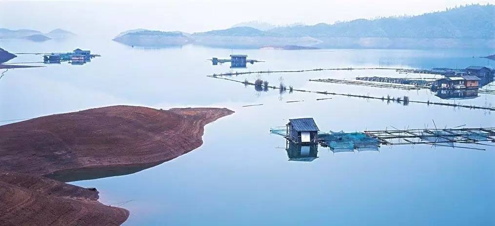 景瀾·返里民宿設(shè)計(jì)，返回故里