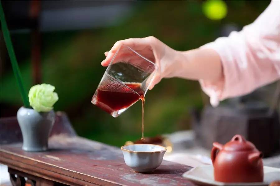 觀芷隱軒，以茶會友的民宿