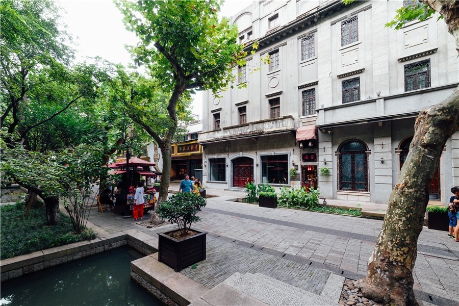 觀芷隱軒，以茶會友的民宿