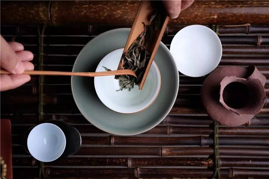 觀芷隱軒，以茶會友的民宿