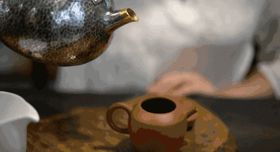 觀芷隱軒，以茶會(huì)友的民宿