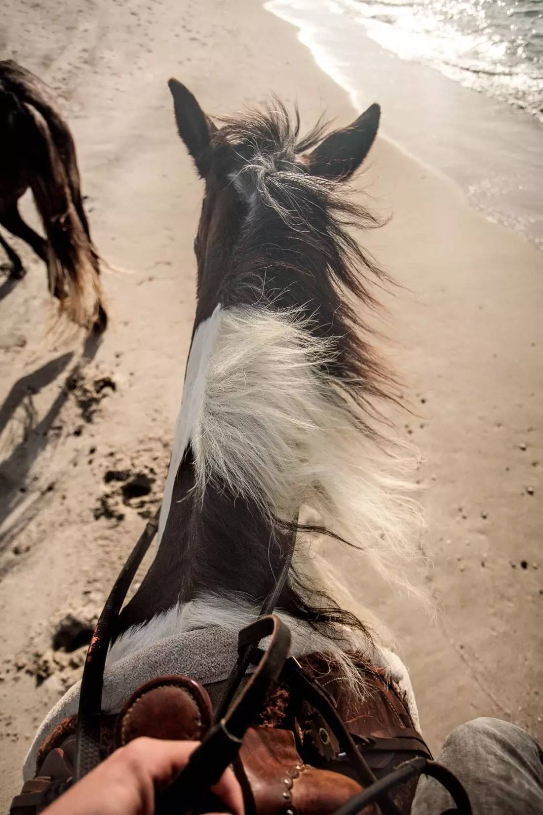 民宿的最高境界，Casa Cook Kos民宿酒店侘寂之美