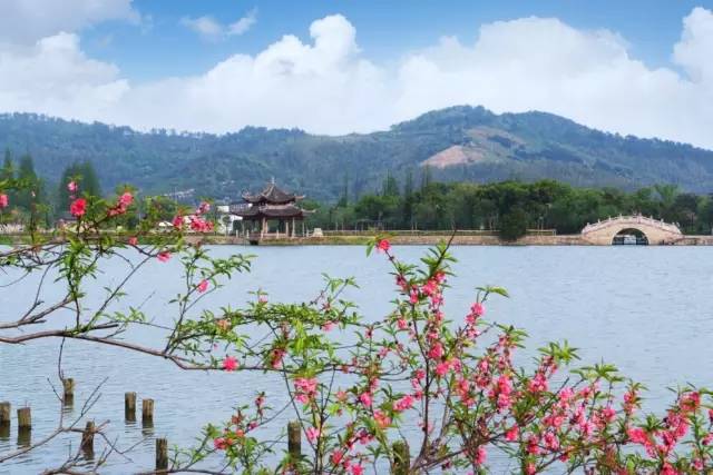 慈舍，悲喜隱去慈從舍生