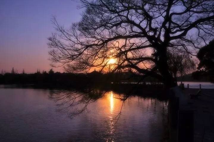 慈舍，悲喜隱去慈從舍生