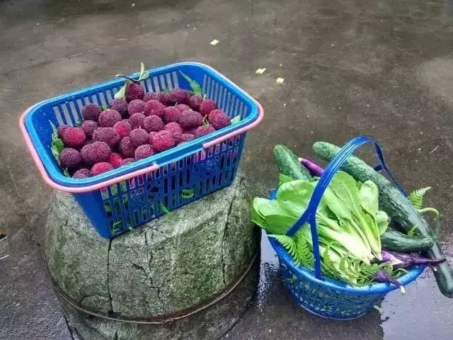 慈舍，悲喜隱去慈從舍生