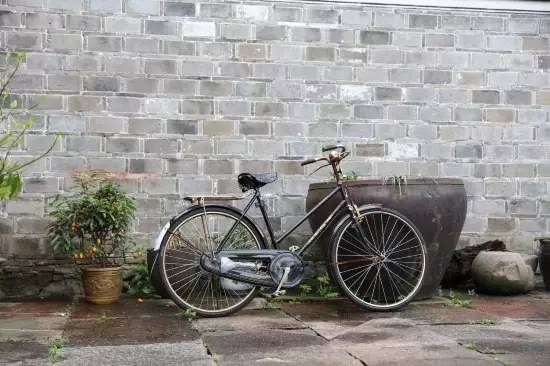 慈舍，悲喜隱去慈從舍生