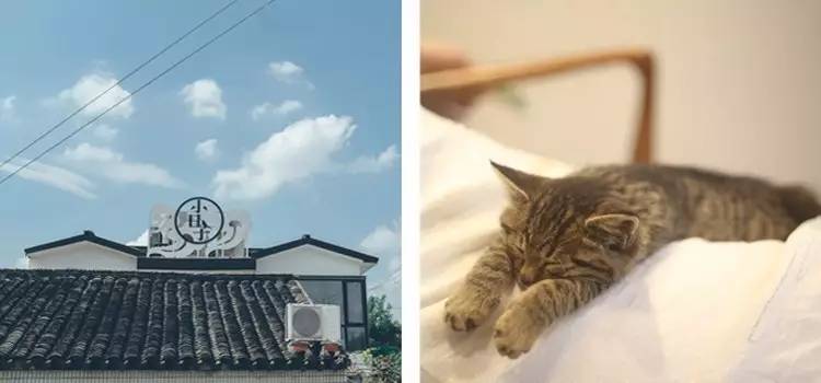 小日子生活館，選一本書過自己的生活方式