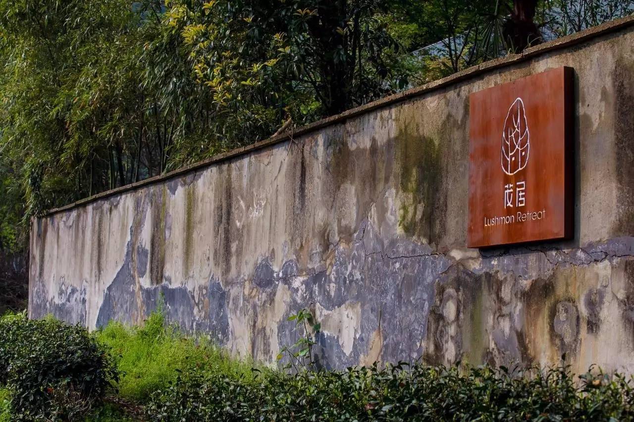 杭州龍井茂居民宿，在茶田之中枕著茶香入睡