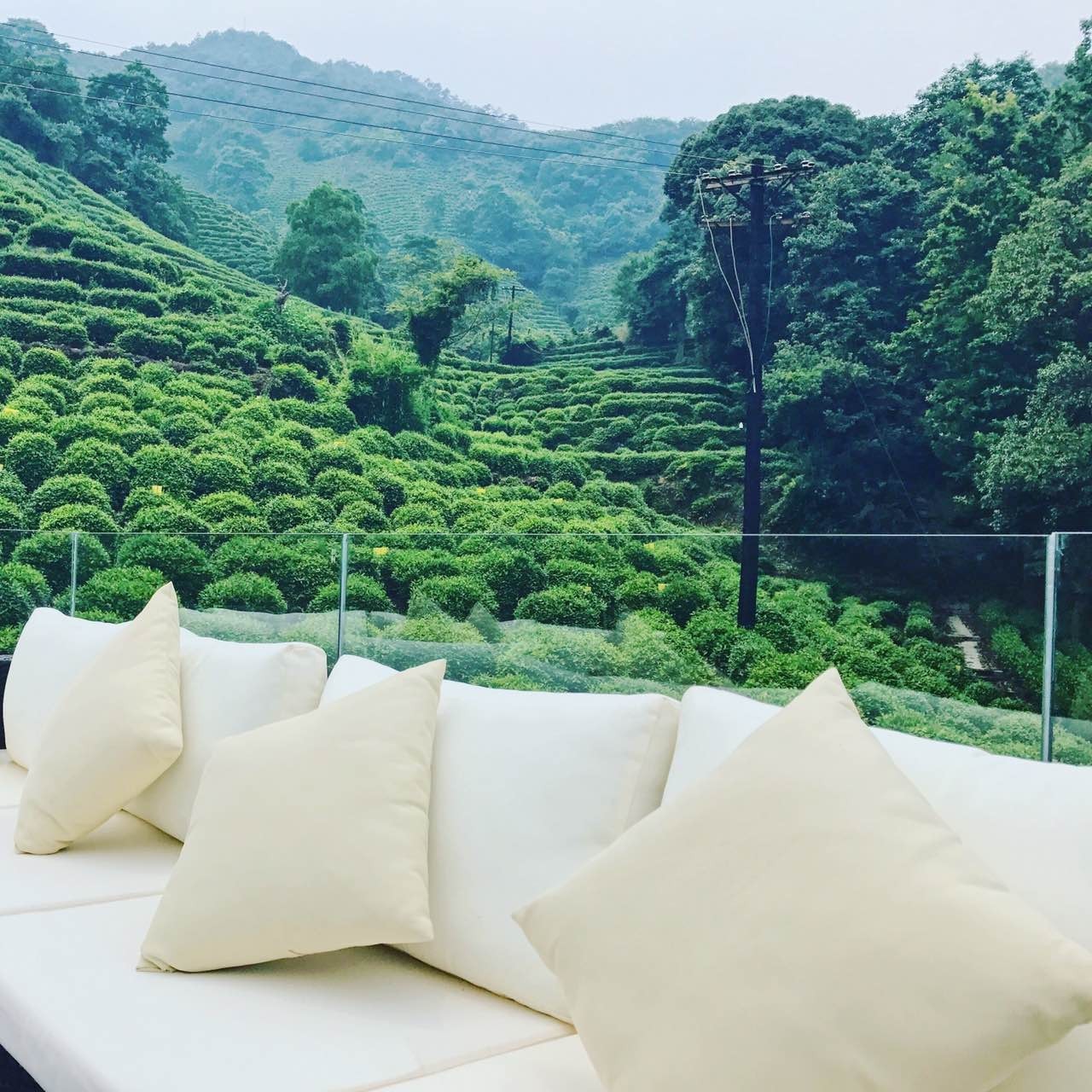 杭州龍井茂居民宿，在茶田之中枕著茶香入睡