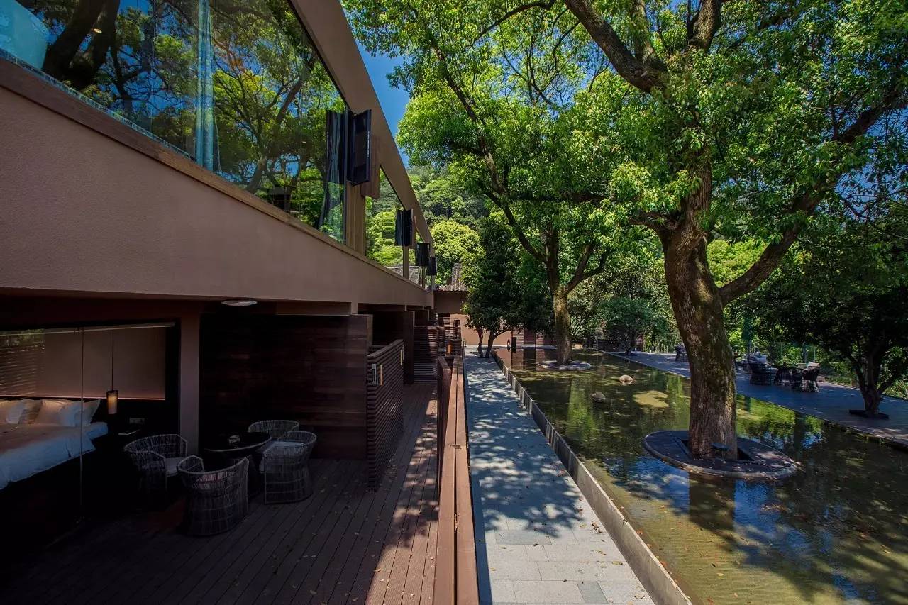 杭州龍井茂居民宿，在茶田之中枕著茶香入睡