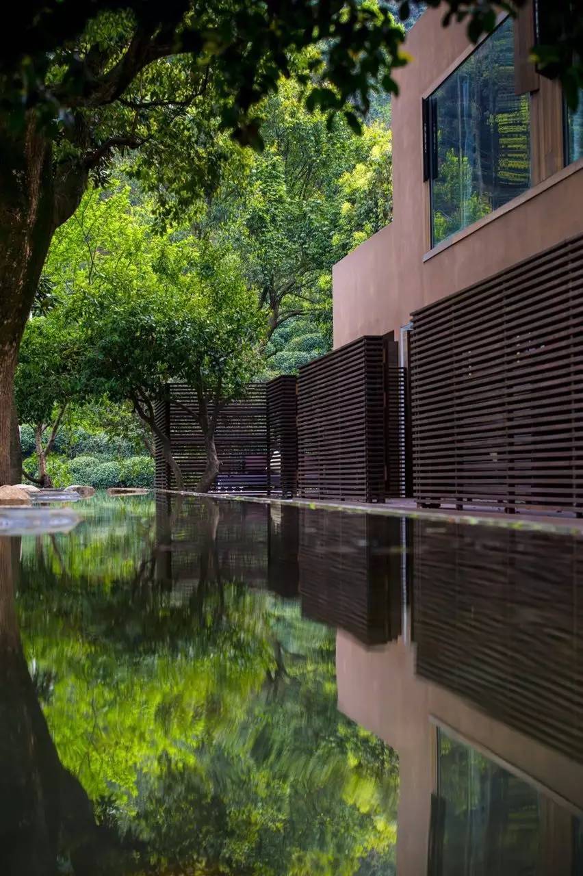 杭州龍井茂居民宿，在茶田之中枕著茶香入睡