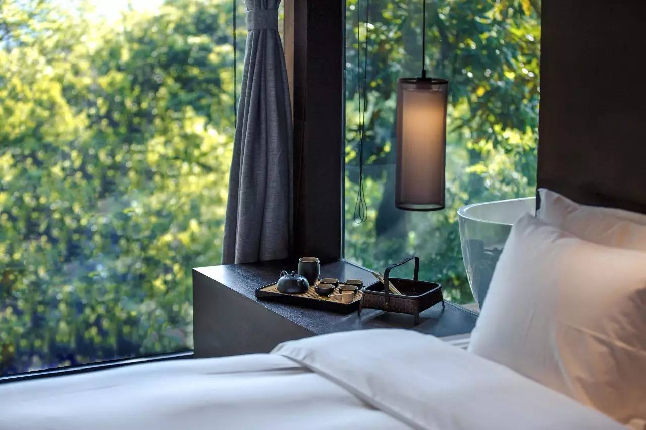 杭州龍井茂居民宿，在茶田之中枕著茶香入睡