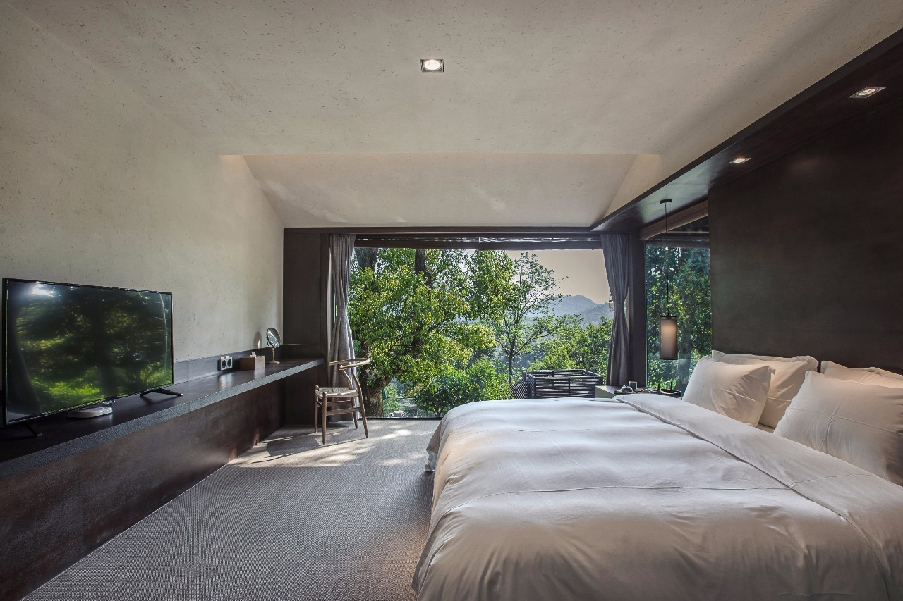 杭州龍井茂居民宿，在茶田之中枕著茶香入睡