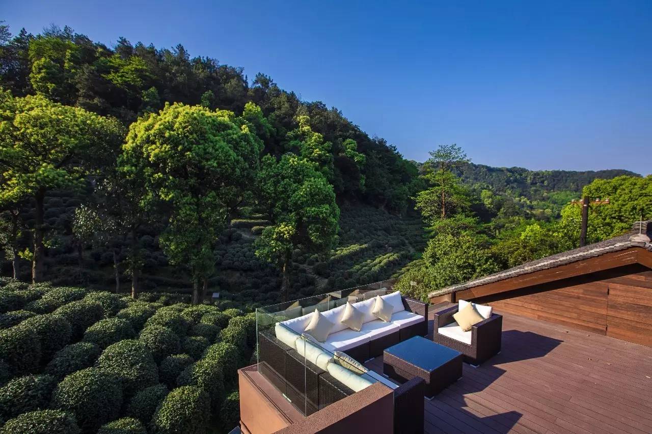 杭州龍井茂居民宿，在茶田之中枕著茶香入睡