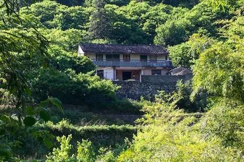 上虞陳溪鄉(xiāng)雪花谷民宿，在山谷里與自然相伴