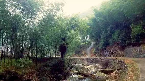 上虞陳溪鄉(xiāng)雪花谷民宿，在山谷里與自然相伴