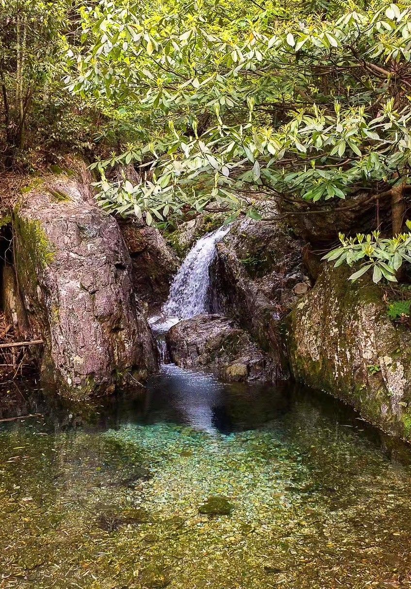 上虞陳溪鄉(xiāng)雪花谷民宿，在山谷里與自然相伴
