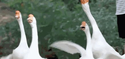 上虞陳溪鄉(xiāng)雪花谷民宿，在山谷里與自然相伴