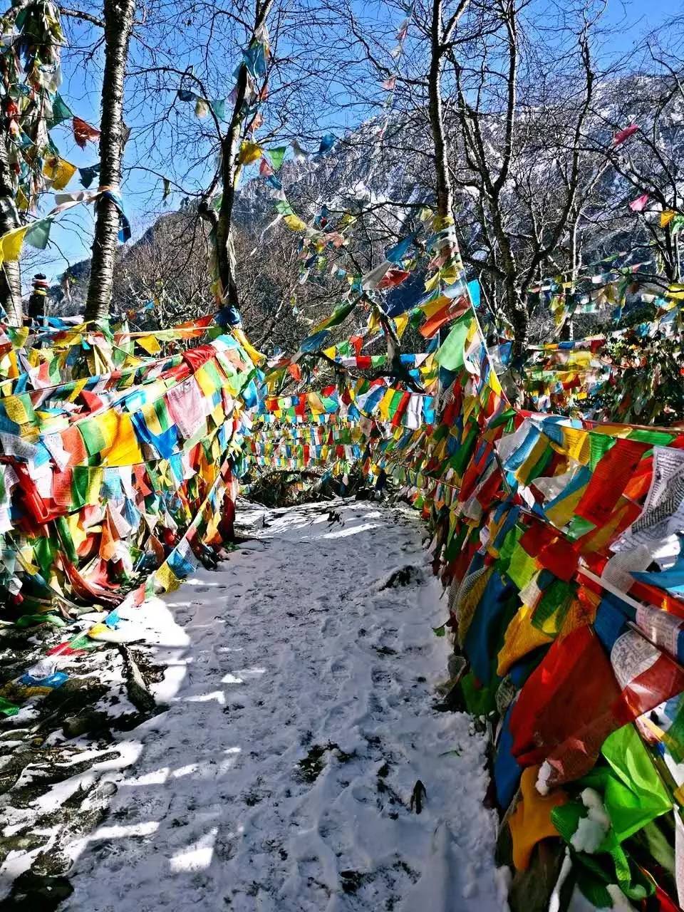 藝棧藏式客棧，我在等風(fēng)也在等你