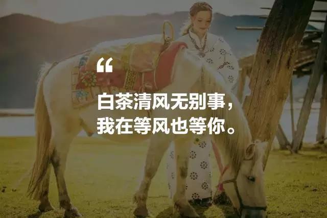 藝棧藏式客棧，我在等風也在等你