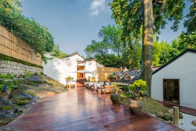 青桐·青竹茶舍，茶香縹緲靜賞西湖