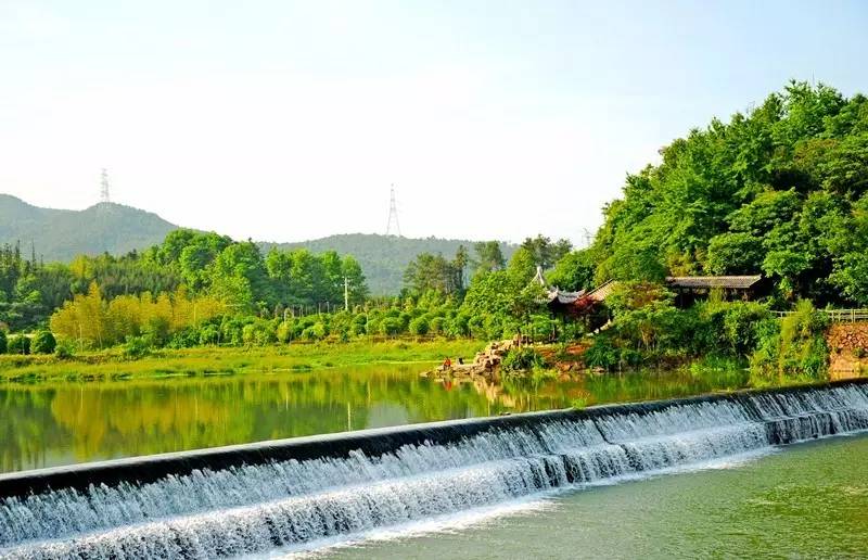 武義一水間民宿，一茶一飲盡享清閑