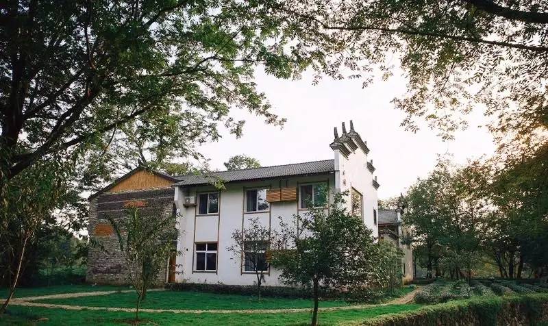 武義一水間民宿，一茶一飲盡享清閑