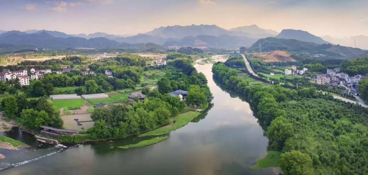 武義一水間民宿，一茶一飲盡享清閑