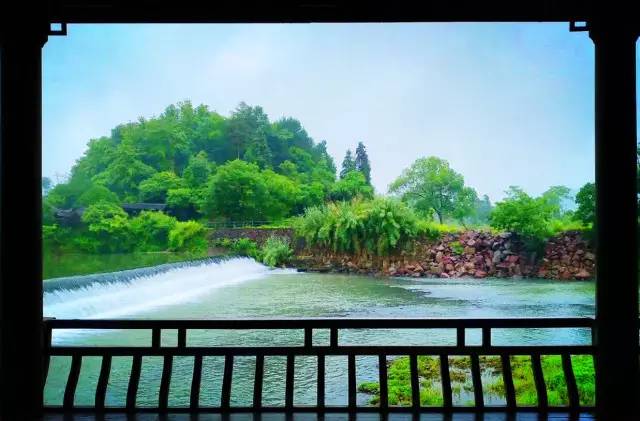 武義一水間民宿，一茶一飲盡享清閑