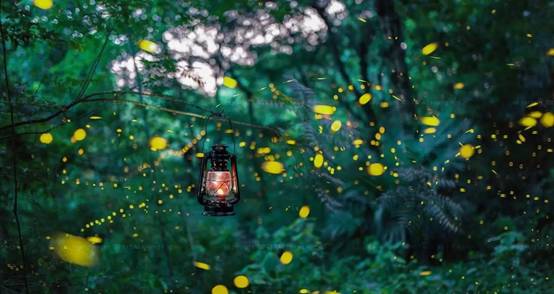 武義一水間民宿，一茶一飲盡享清閑