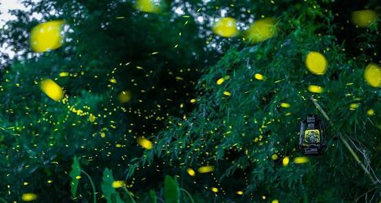 武義一水間民宿，一茶一飲盡享清閑