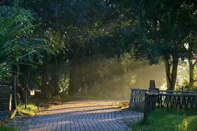 武義一水間民宿，一茶一飲盡享清閑