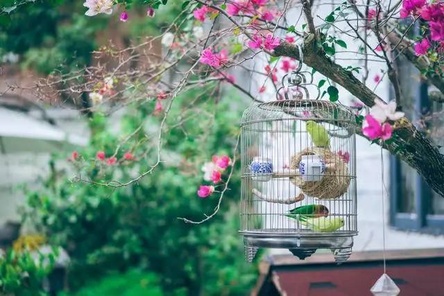 悠然別苑民宿設(shè)計(jì)，聽海風(fēng)的聲音