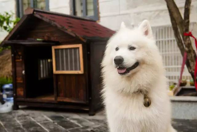 悠然別苑民宿設(shè)計(jì)，聽海風(fēng)的聲音