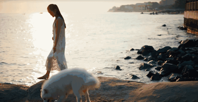 悠然別苑民宿設(shè)計，聽海風的聲音