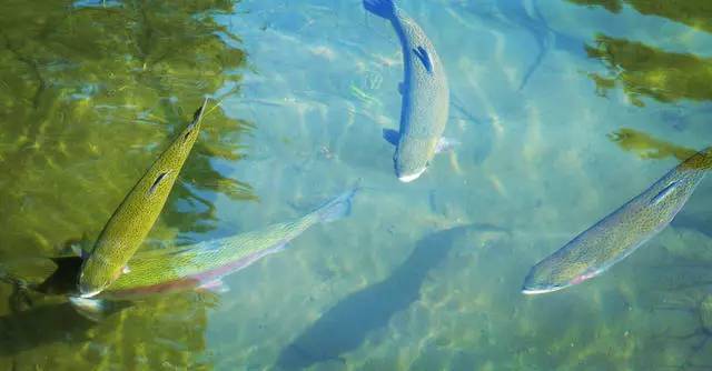 中香界長(zhǎng)城小院，向往的最初生活