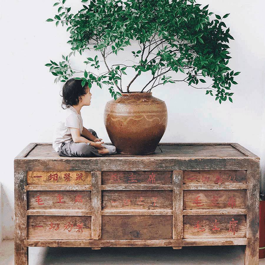 西坡千島湖民宿酒店，瓦爾登湖的自由生活